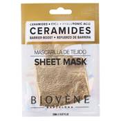 Masque protecteur pour le visage