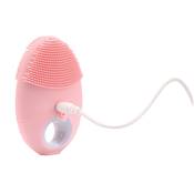 Brosse Massante pour Visage