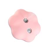 Nano BrumIsateur rose - Flowerspray