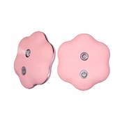 Nano BrumIsateur rose - Flowerspray