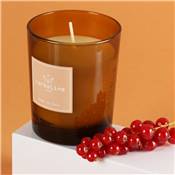 Bougie Parfumée pour Intérieur Ambre - 170G