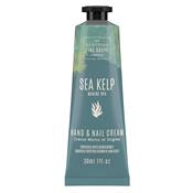 Crme Mains Et Ongles Sea Kelp - 30 ML