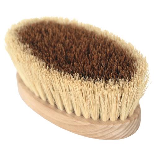 Brosse Cactus & Coco