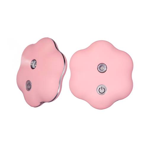 Nano BrumIsateur rose - Flowerspray