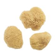 Mini Eponges de Mer Naturelle par 3