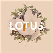 Bougie Parfumée pour Intérieur Lotus - 170G